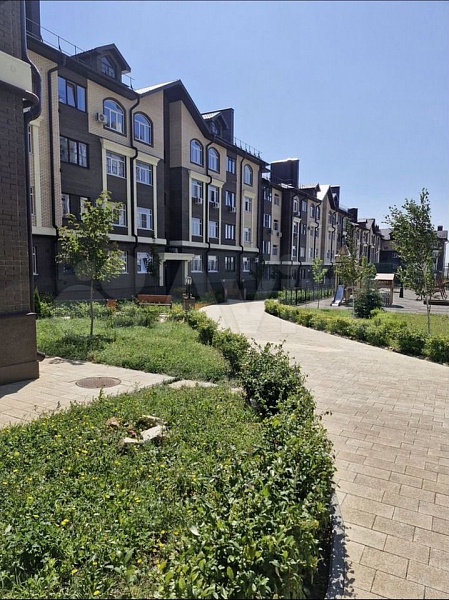 Квартира-студия, 22,5 м², 1/4 эт.