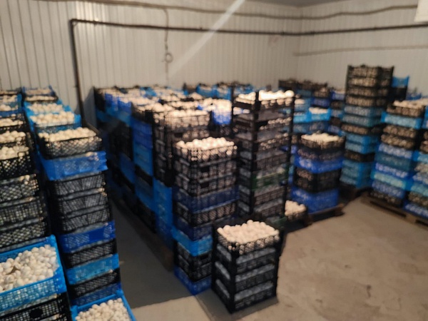 Имущественный производственный комплекс с действующим бизнесом, доходностью 20–25% и контрактами с федеральной сетью супермаркетов