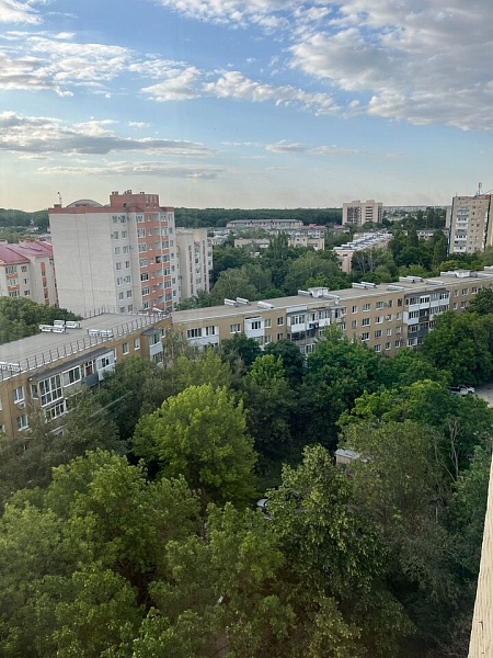 2-к. квартира, 53,3 м², 11/12 эт.