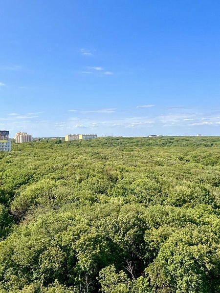 1-к. квартира, 48 м², 10/12 эт.