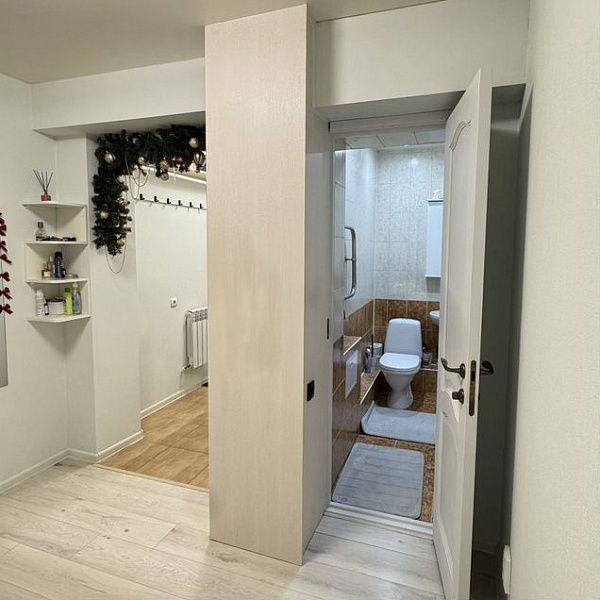 1-к. квартира, 44,6 м², 1/9 эт.