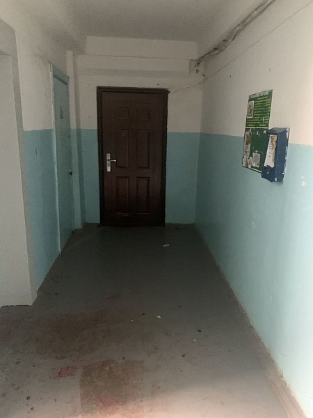 2-к. квартира, 54,6 м², 1/9 эт.